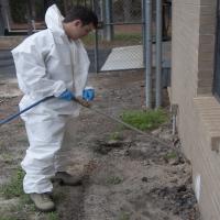 Pest Control Pest Control