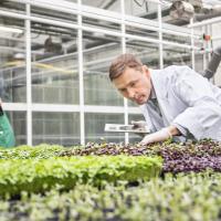 Horticulture And Landscaping Horticulture And Landscaping